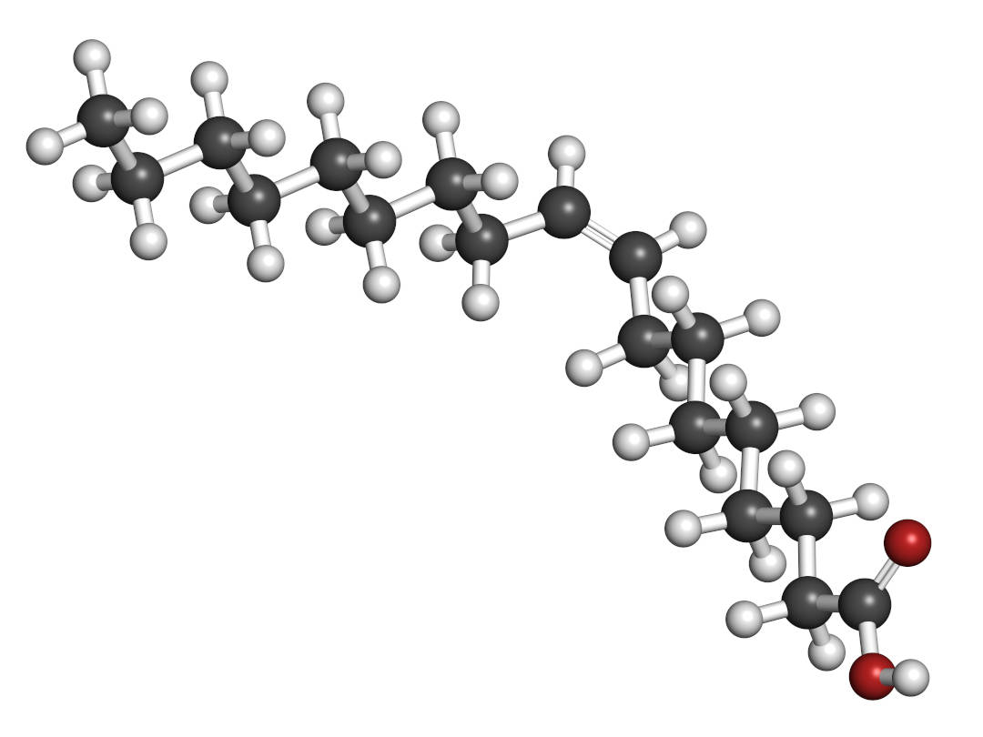 19617554-oleic-acid