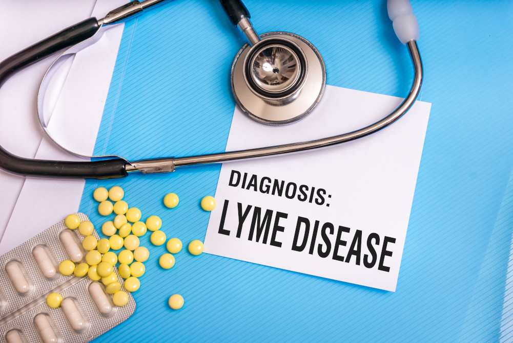 Lyme Disease Don’t Let the Bugs Bite You