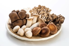 Mushrooms and the Research in CancerID