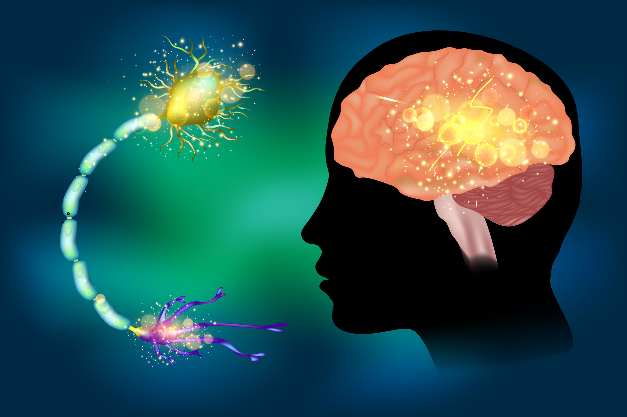 Seizures - Naturopathic Perspectives