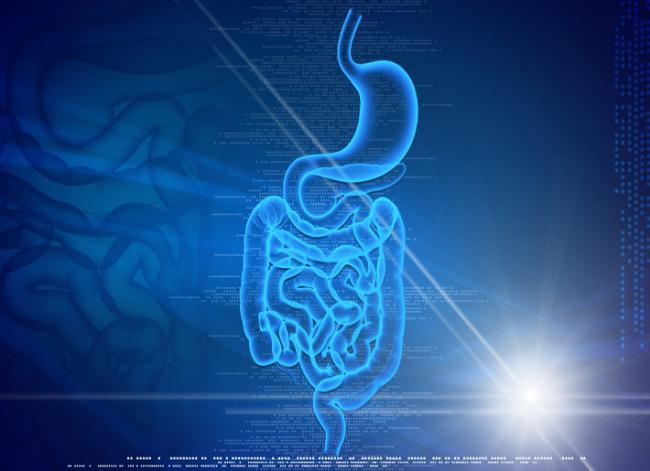 The Importance of Optimizing Digestion -  Natural Treatment Strategies