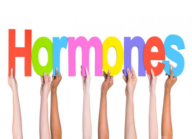 Female Hormones - Why They Become Imbalanced