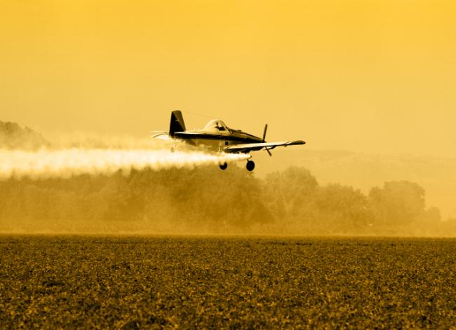 The Problem with Pesticides- Further Explained