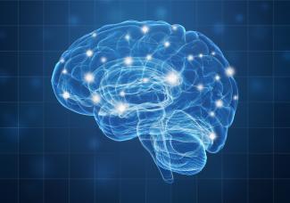 脑部健康及如何使神经元生长 - 有研究证据为本的讨论