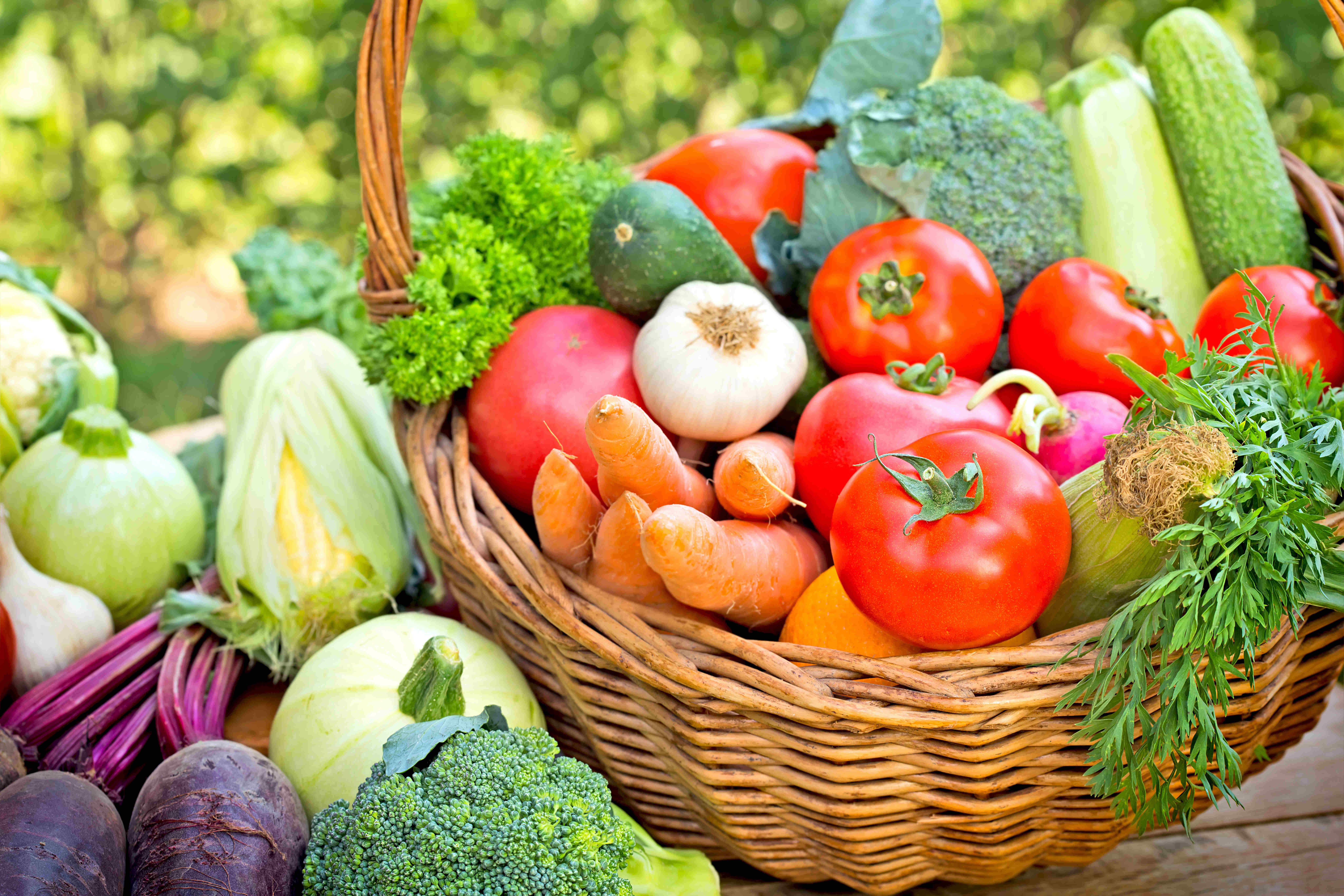 Vegetarian Diets and Anemia