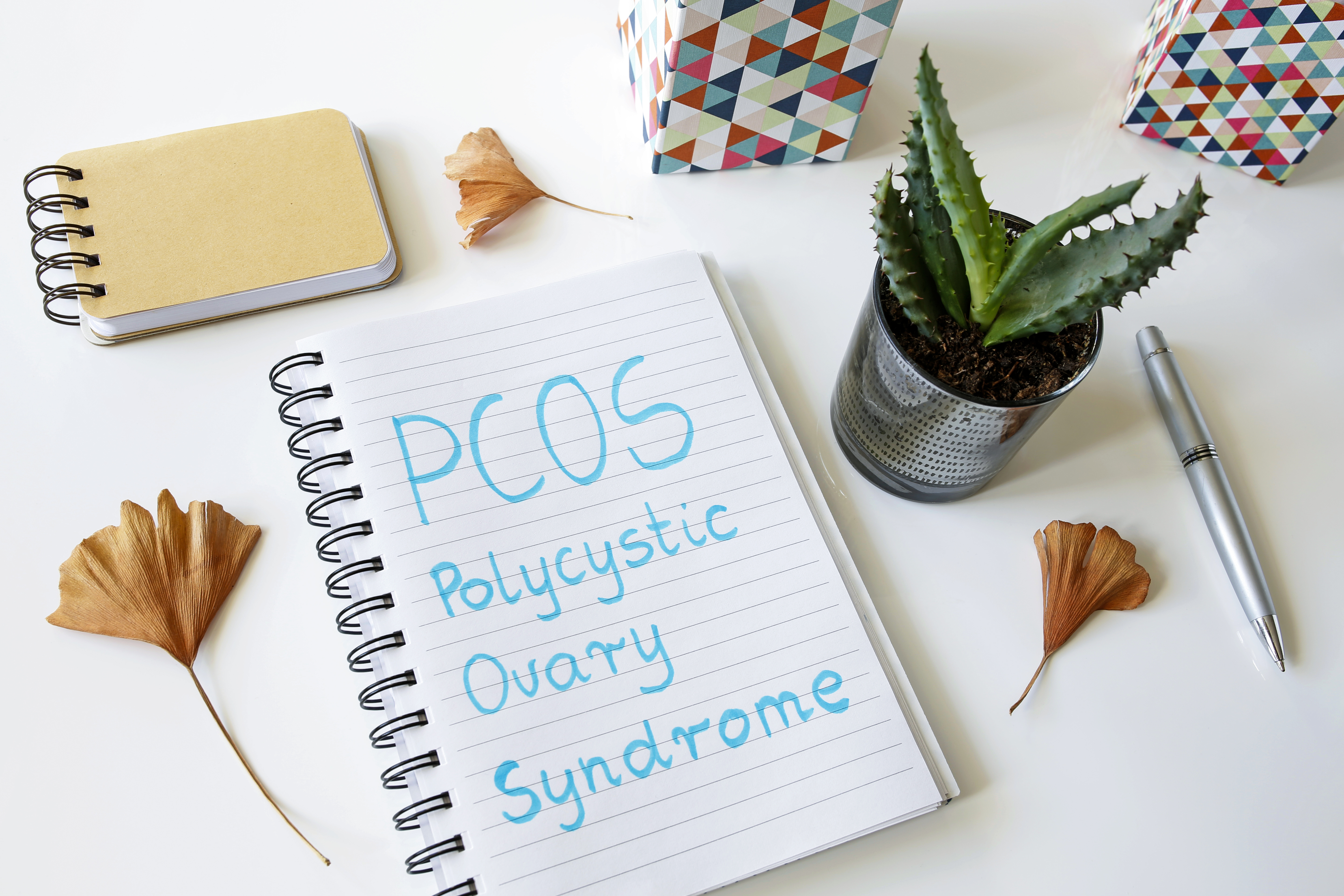 El síndrome de ovario poliquístico (SOP) - Qué es y qué hacer al respecto