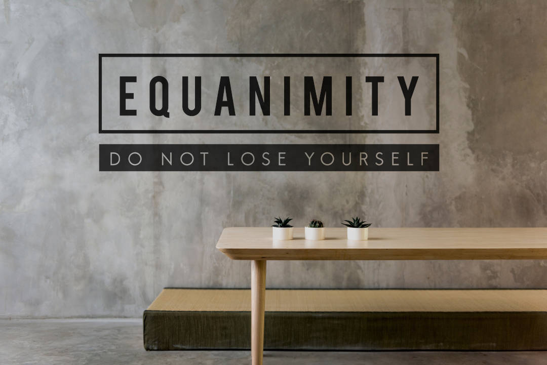 Equanimity as a Guide to Healthier Relationships
