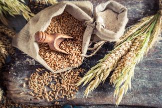 Do Whole Grains Cause Diabetes? - A Review of Evidence