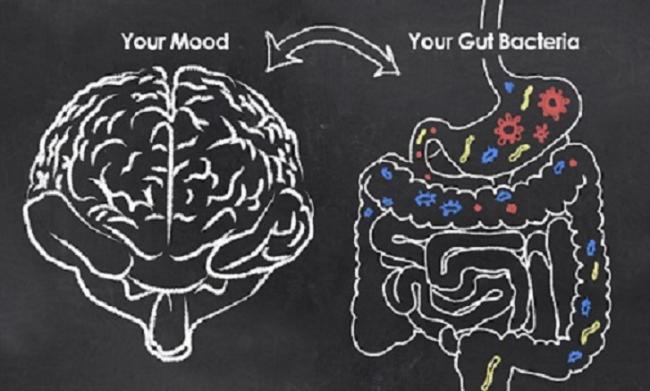 probiotics-gut-brain-axis
