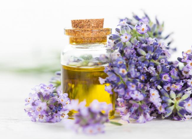 Lavender in Your Daily Life - Four Little-Known Uses