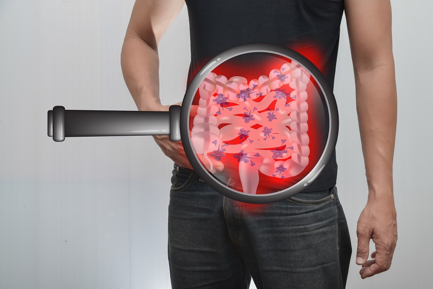 Your Gut and Your Health