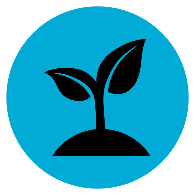 Produits à base de plantes et produits botaniques