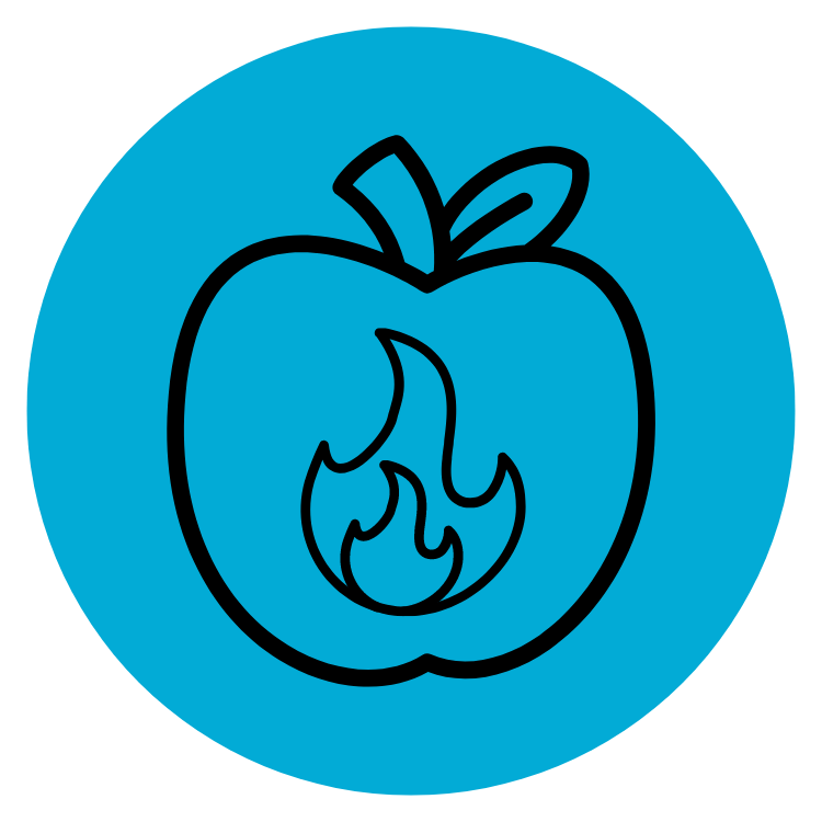Nutrition et métabolisme