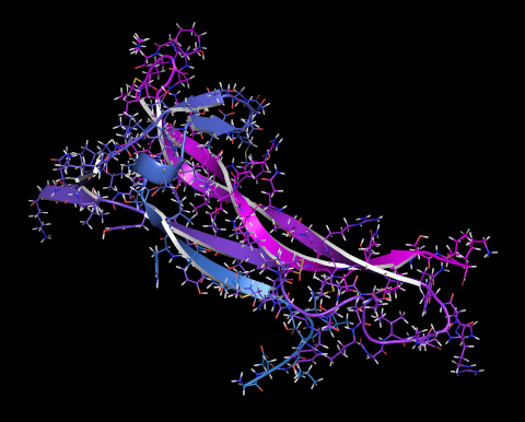 Neurons