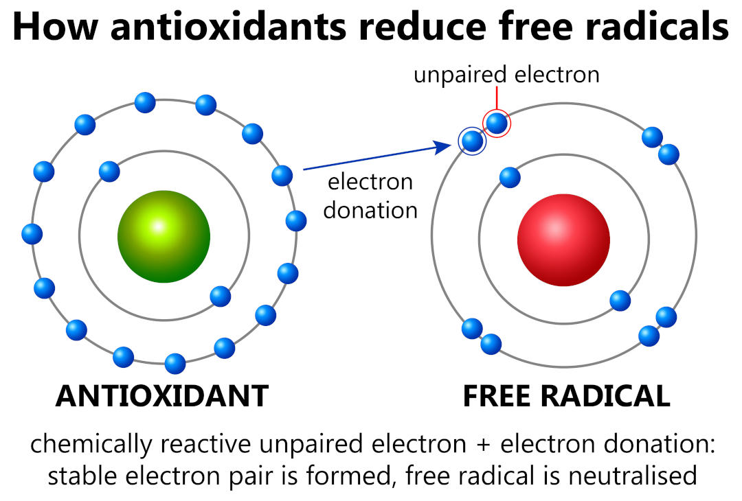 antioxidants
