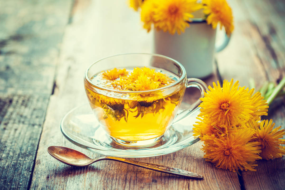 Dandelion