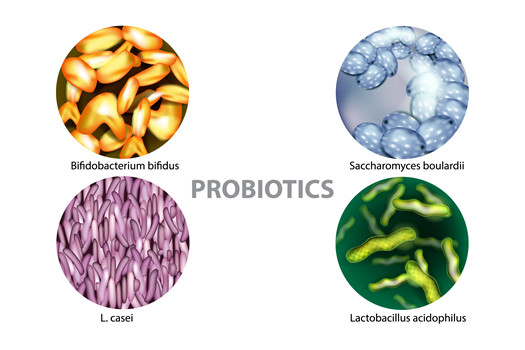 probiotics