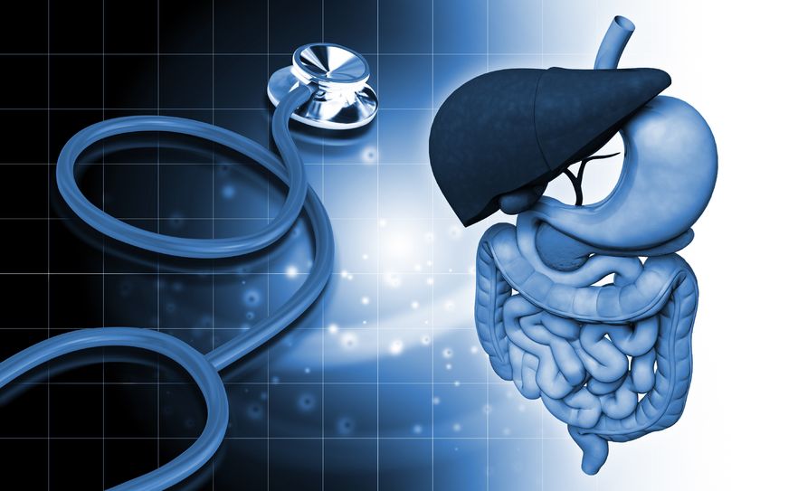 Gut Barrier Function and IBS