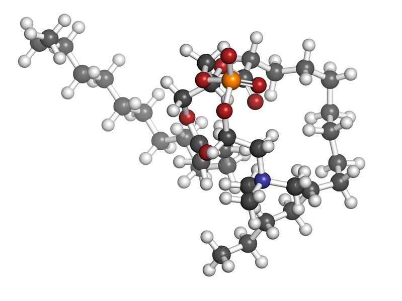 What is Phosphatidylcholine
