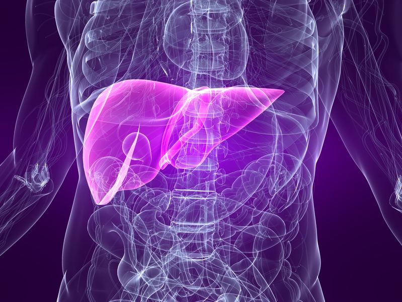 Phosphatidylcholine and Liver Health