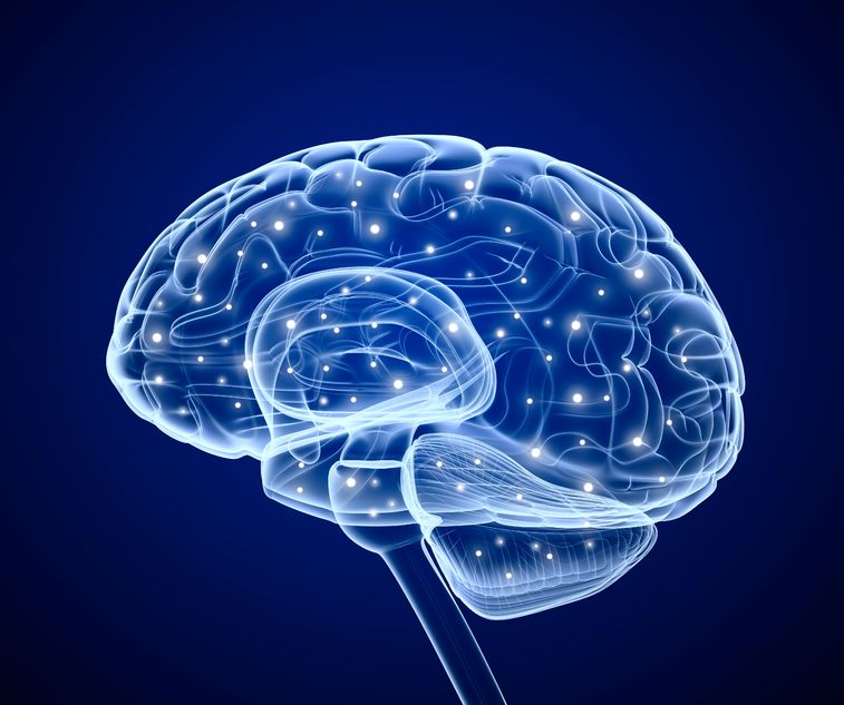 Phosphatidylcholine in Brain Health