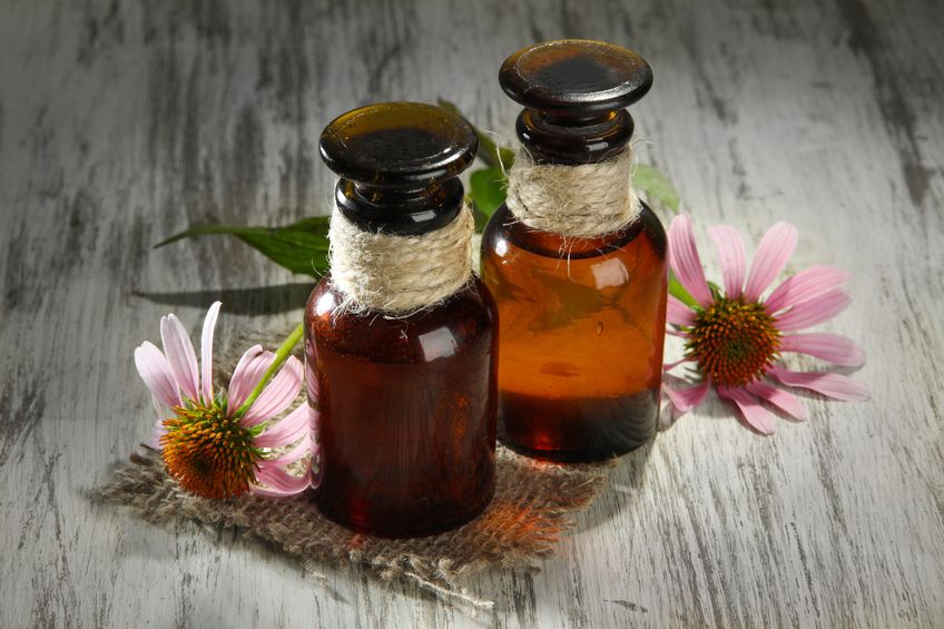 Echinacea
