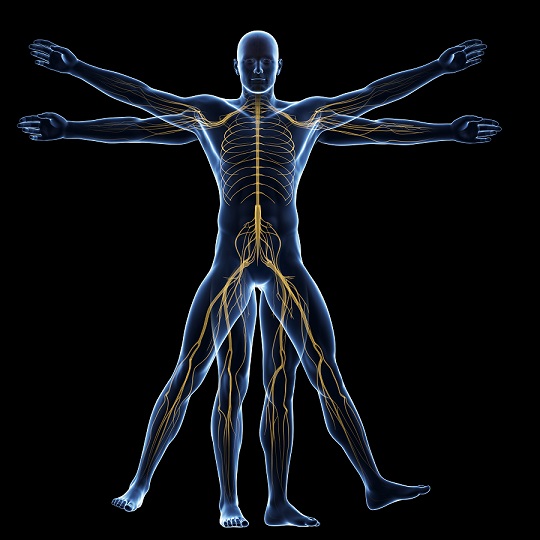 It’s All In Your Head - Harnessing the Vagus Nerve to Boost Physical Health