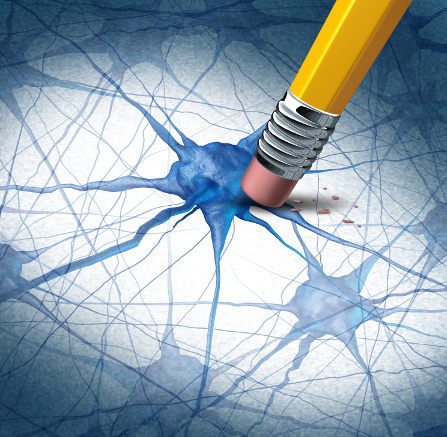 The Gut and Microbiota : Impacts on Parkinson's Disease