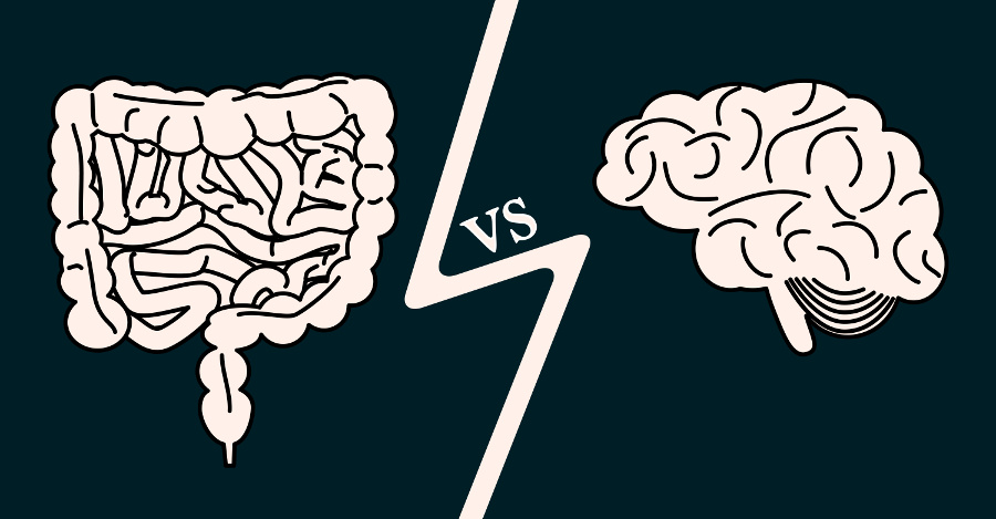 The Gut and Microbiota : Impacts on Parkinson's Disease