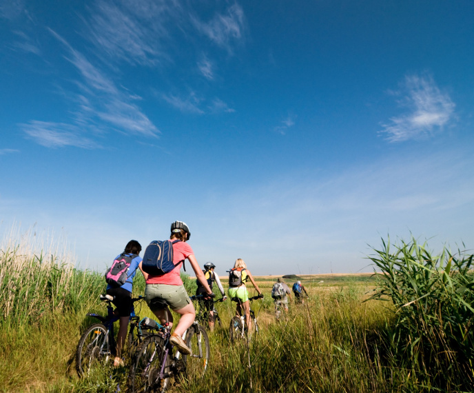 Exercise and Mental Health - Naturopathic Approaches