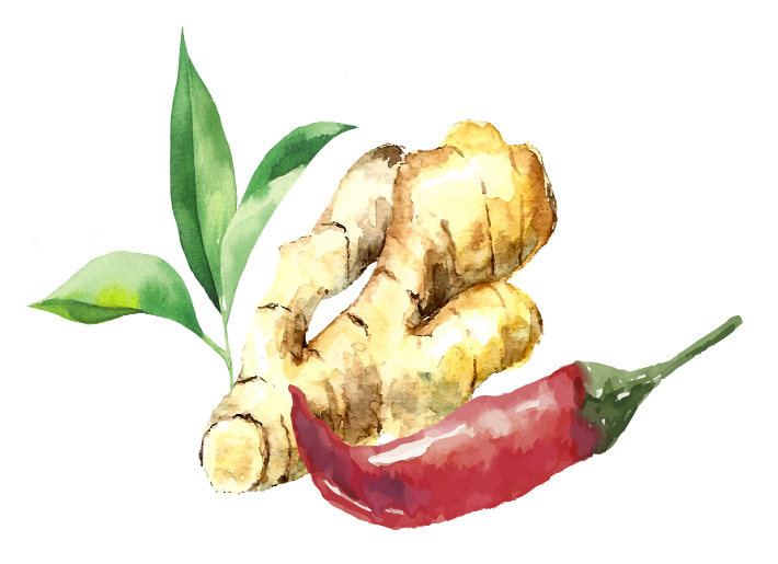 Green Tea, Capsaicin, and Ginger for Weight Loss Naturopathic Approaches Explained