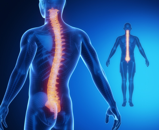 Managing Osteoporosis - Considering the Overlooked Nutrients and Best Assessment Tools