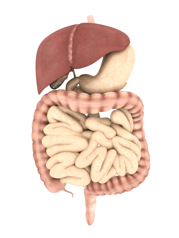 Female Hormones - Why They Become Imbalanced