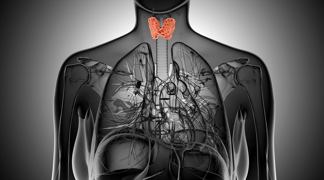 Where to Start with Thyroid Imbalance