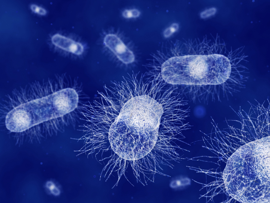 Traveller’s Diarrhea - Prevention and Treatment