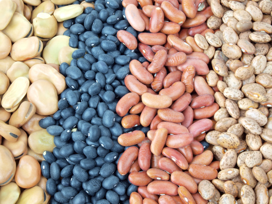 Vegetarian Diets - Thoughts from an American Blue Zone