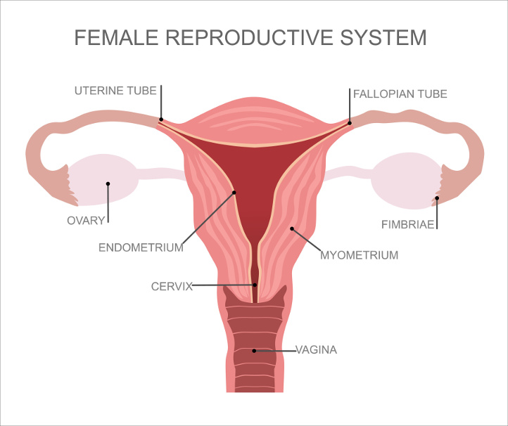 Before Starting Hormonal Contraceptives - What You Need to Know